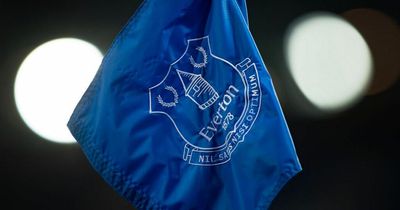 Why Everton are confident of avoiding Premier League points deduction after losses revealed