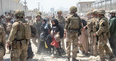 UK's Homes for Ukraine sponsor scheme should be offered to Afghan refugees, Tory MPs say