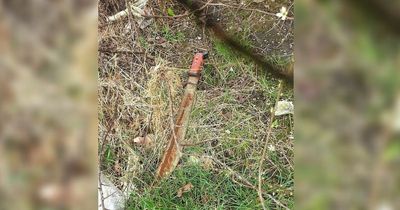 Machete, large knife and hammer 'hidden in bushes' found in parks