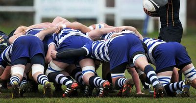 Welsh rugby club say season is a 's***show' as leagues to be left incomplete amid alleged false Covid claims