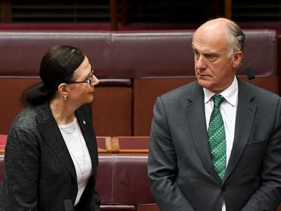 Morrison brushes off Lib senator's swipe