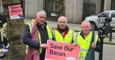 Farmers descend upon Dublin to stage 'pig protest' over rising costs