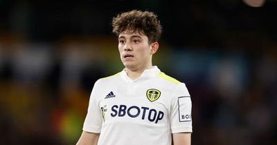 'Not a massive fan' - Leeds United's Daniel James handed strong criticism by ex-Whites star