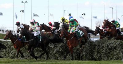 Grand National 2022: How Enjoy D'Allen's trainer sold the key runner to owner JP McManus