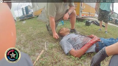 Keeper Mauled When He Tried To Pet Tiger At Feeding Time