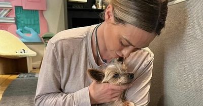 Hilary Duff reveals beloved dog Jak has died as she shares heartfelt tribute with fans