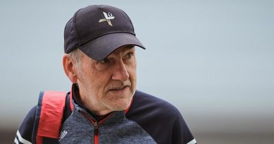 Louth v Limerick: TV info, throw-in time and more for Allianz League Division Three final