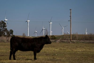 War in Ukraine Drives Up Cost of Renewable-Energy Projects