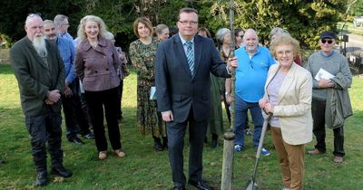 Oak tree planted in Dumfries to mark second anniversary of coronavirus lockdown