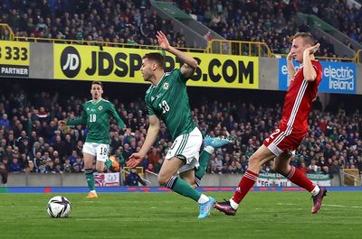 Northern Ireland’s Dion Charles claims he should have had penalty prior to Hungary scoring winner