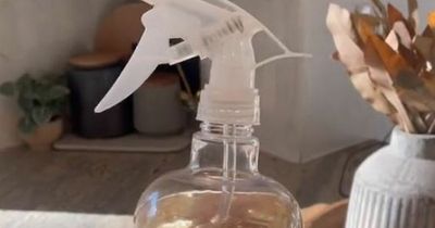 Cleaning fan shares DIY 'miracle' spray that keeps dust away for weeks