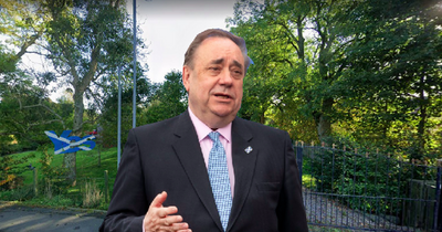 Alex Salmond ordered to remove massive Yes sign from his garden in council planning row