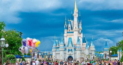 Disney-obsessed woman donates blood to fund monthly trips to Disney World