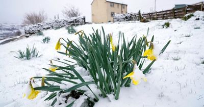 Met Office weather warning for ice, snow and hail issued as temperatures plummet