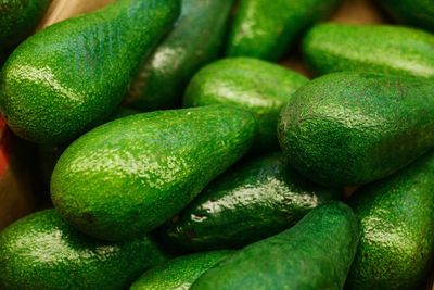 An avocado a week ‘cuts risk of heart disease’ – 8 delicious ways to get more into your diet