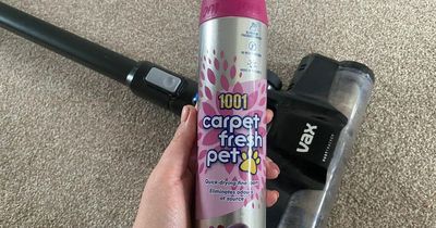 I tried the B&M £1 carpet cleaner loved by Mrs Hinch and the scent lasted for hours