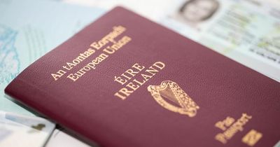 Irish passengers urged to check passport renewal date as month-long delays reported