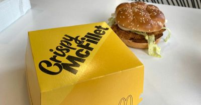 McDonald's launches new Crispy McFillet burger with truffle mayo and sourdough bun