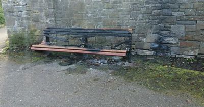 Arsonist on the loose causing huge damage to south Dublin park
