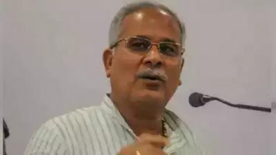 After cow dung, Chhattisgarh mulls procuring cow urine from livestock rearers