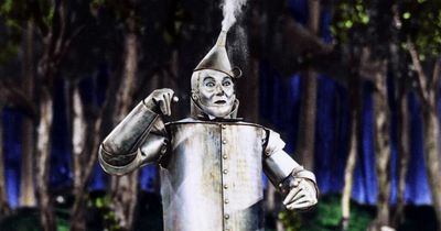 Tin Man's oil can from the Wizard of Oz movie fetches incredible amount at auction