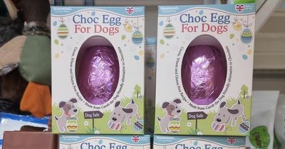 Wilko divides shoppers on pet safety with £2 'chocolate' Easter egg for dogs