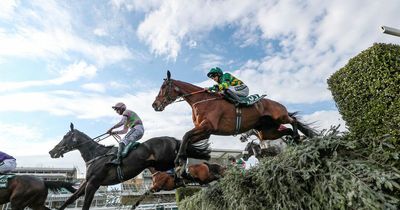 Grand National 2022: Minella Times coming back to form ahead of Aintree return