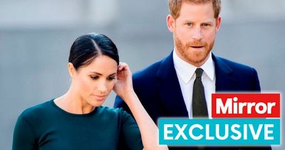 Meghan and Harry 'know they look petulant and rude' by ignoring memorial, says expert