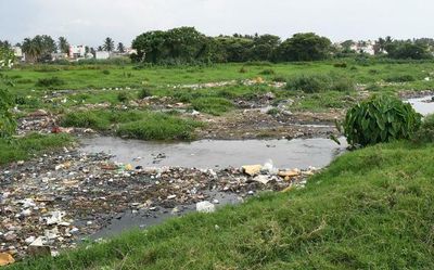 MUDA to remove encroachments on Devanur lake