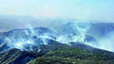 Rajasthan: Sariska Tiger Reserve fire shrinks further, flames confined to 'just one hillock'