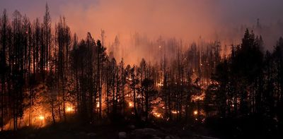 Planting trees can help the climate, but only if we also stop burning fossil fuels