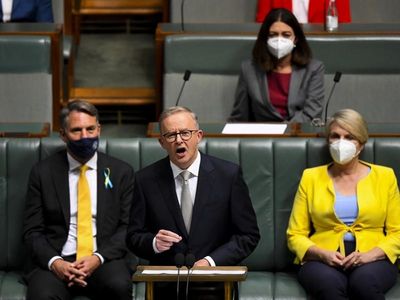 PM issues budget challenge to Albanese