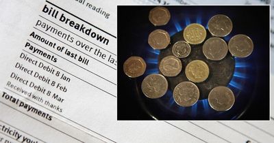 Shell, British Gas and Eon customers reveal concerning impact of energy price rise