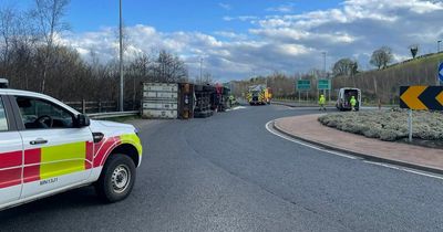 Over 100 pigs die 'on impact or by smothering' in horror lorry crash in Monaghan