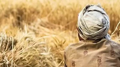 Punjab has least number of organic farmers in the country