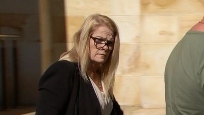 Drug driver Michelle Bubner, who killed brothers collecting Gumtree item, has sentence slashed