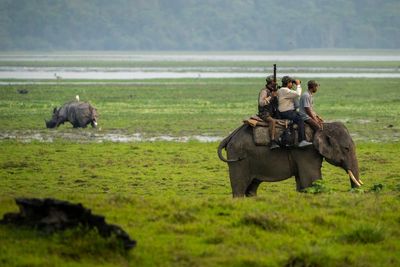 AP PHOTOS: 1-horned rhinos in Indian park saved by mud, guns