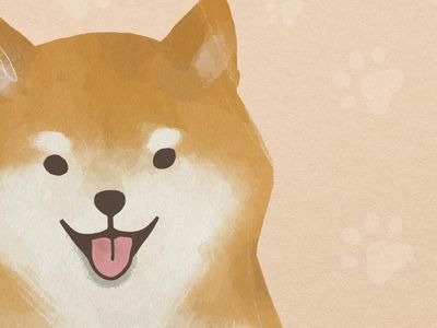 Dogecoin Rival Shiba Inu Reveals More Details About Metaverse