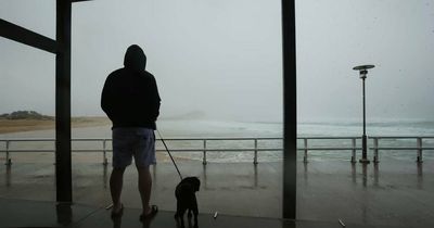 Why it won't stop raining in Newcastle and across NSW