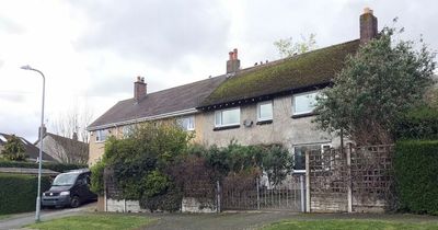 A man cut a hole in neighbour's hedge so he had a better view
