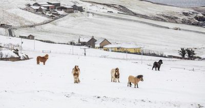 Snow falls across Scotland as cold Arctic blast brings sub-zero temperatures in spring