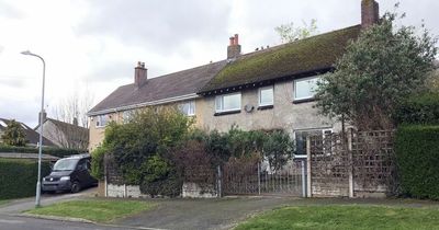 Man cut hole in neighbour's hedge to get 'better view of mountains'