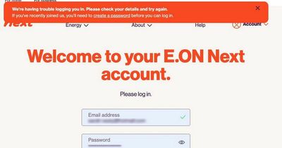 E.ON Next customers report ‘blank’ energy meters and website ‘crash’ ahead of April price hike