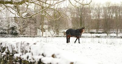 UK weather: Met Office issues 'dangerous' yellow warnings for ICE as snow falls across UK