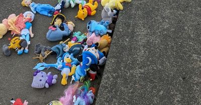 Hundreds of stuffed animals strewn over motorway in 'Toy Story' mystery incident