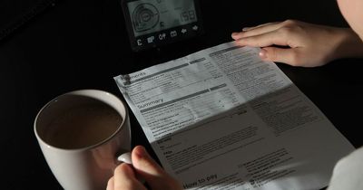 British Gas, Octopus, E.ON, EDF - the latest energy tariffs from the big four energy providers