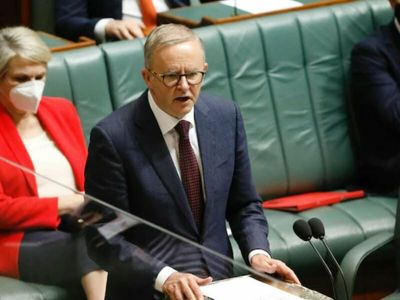 Anthony Albanese: All quiet on the cyber front