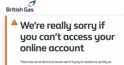 British Gas, E.ON, SSE websites down on meter reading day