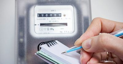 SSE, British Gas, EDF customers unable to submit meter readings as energy supplier websites crash