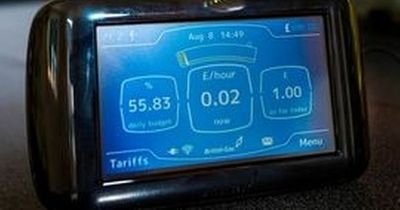 'Read your meter' before tariff change on April 1, experts warn